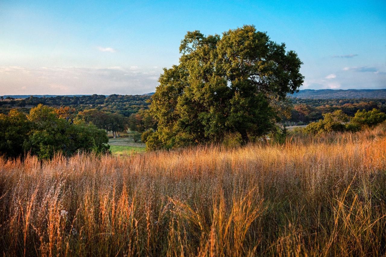 Joshua Creek Ranch Hotel Boerne Kültér fotó
