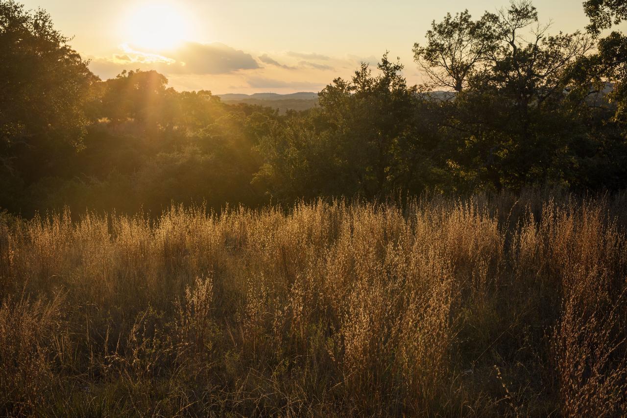 Joshua Creek Ranch Hotel Boerne Kültér fotó